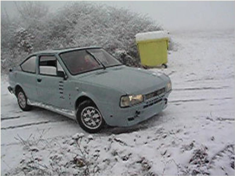skoda v snehu.jpg